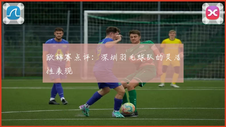 欧锦赛点评：深圳羽毛球队的灵活性表现