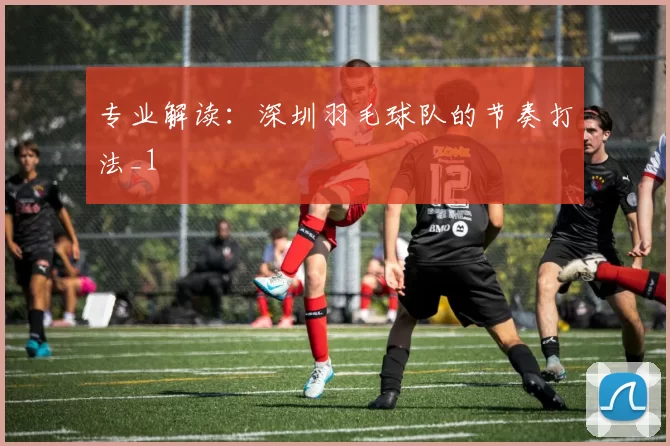 专业解读：深圳羽毛球队的节奏打法_1