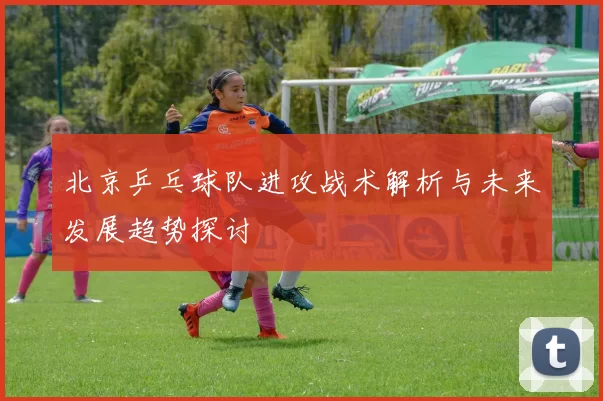 北京乒乓球队进攻战术解析与未来发展趋势探讨