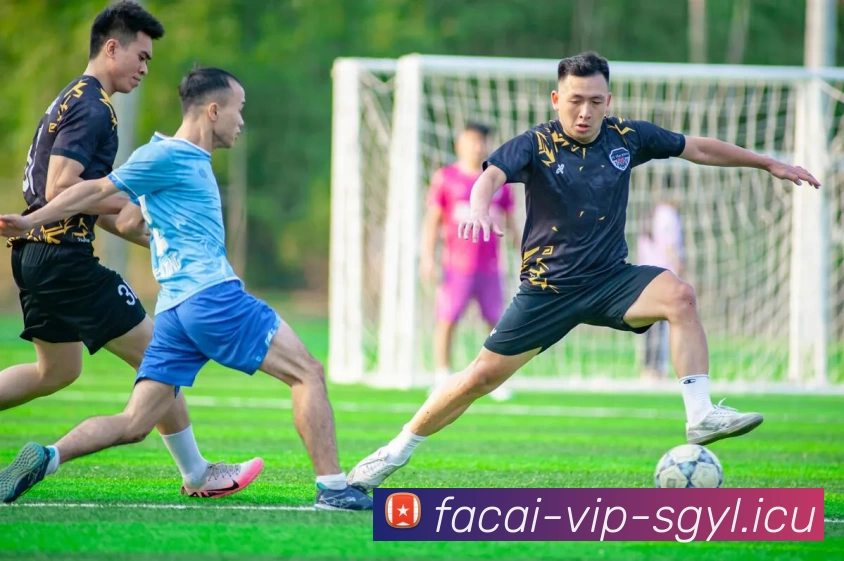 深圳网球队在最新网球状态排行榜中荣登第八名展现强劲实力与潜力